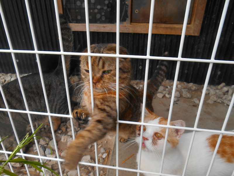 DSCN1280.JPG