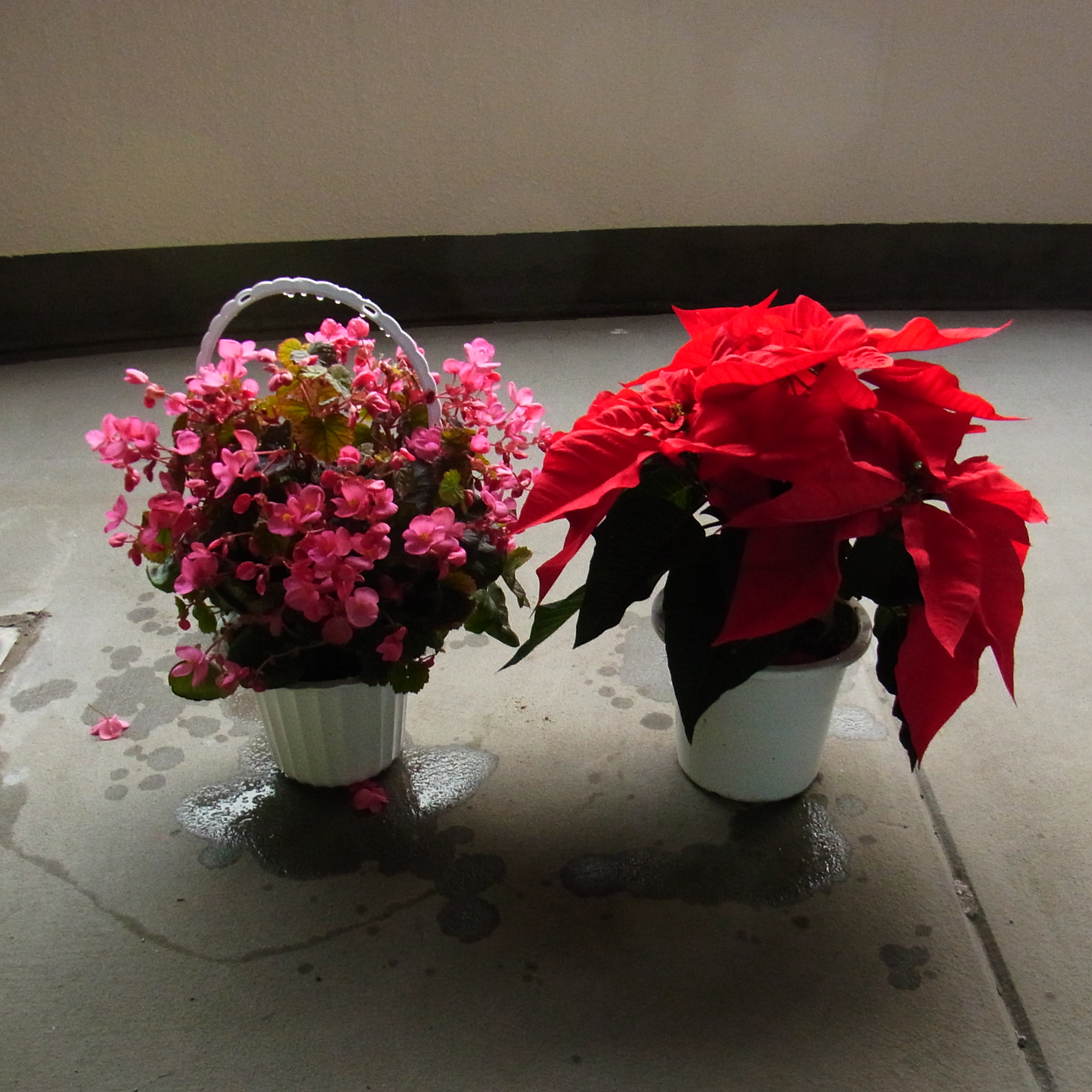 RIMG0158.JPG