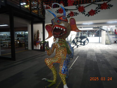DSCN0161.JPG