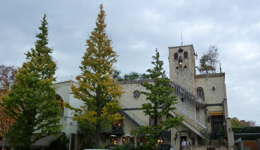 P1110017(1).JPG