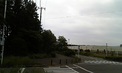 100530_1616  busstop.jpg