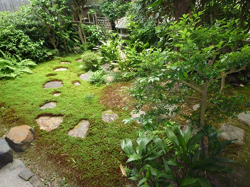 P1020466.jpg