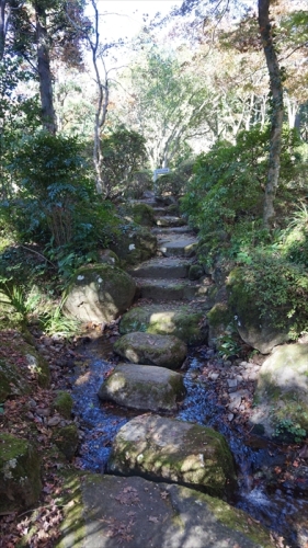 20151127 10364001.jpg