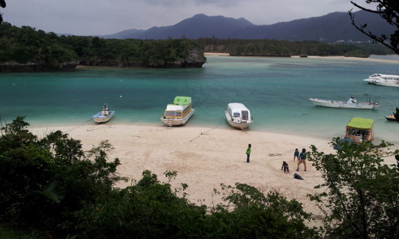 C:\fakepath\2012-11-27 12.09.02[1].jpg