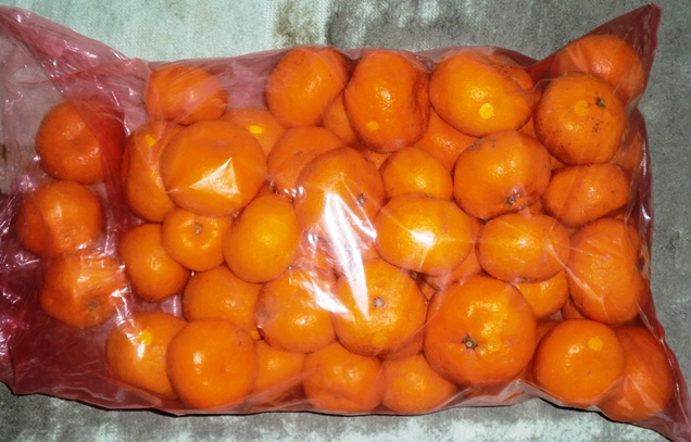 PICT0001.JPG