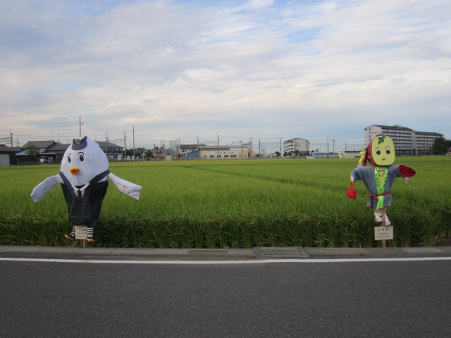 ぽっぽ君とときも