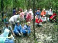 2006.8.19Thai-Ranong/mangrove planting2
