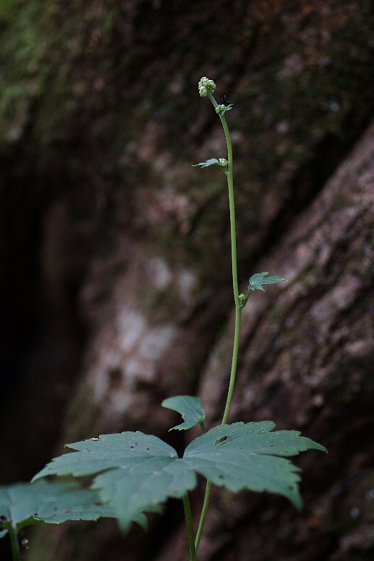 0828-6.jpg