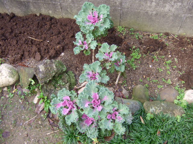 DSCF5449.JPG