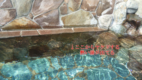 20141020 10413501.jpg