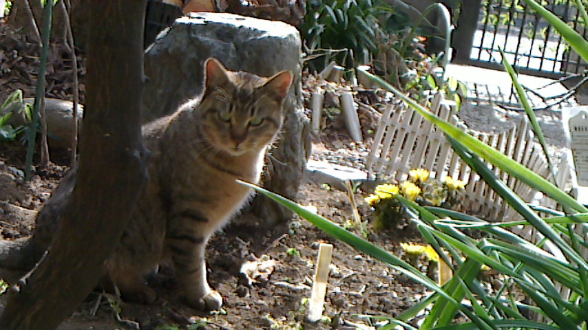 NEC_0633.JPG