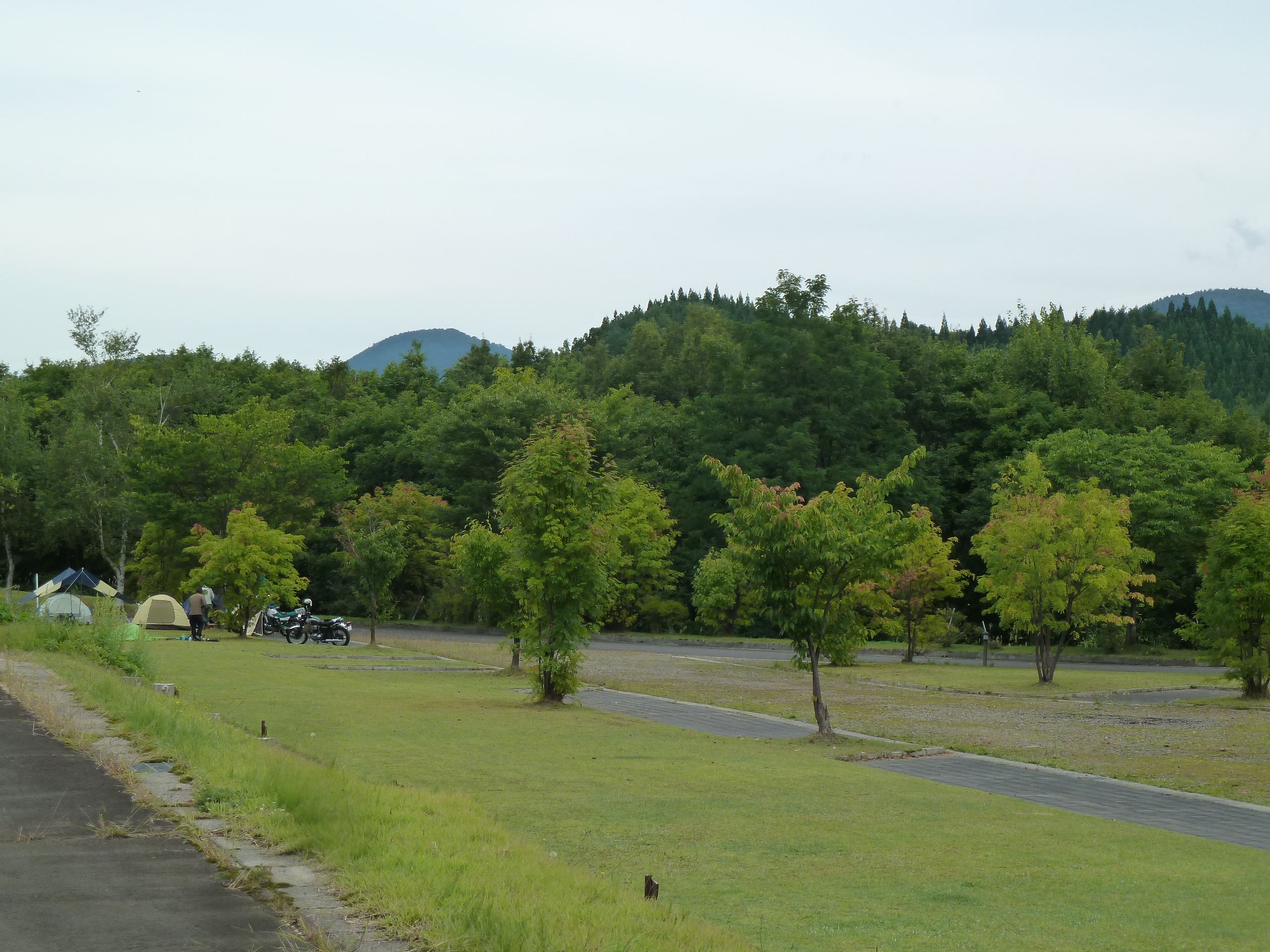 P1010371.JPG