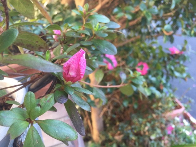 201512182119_4458_iphone.jpg