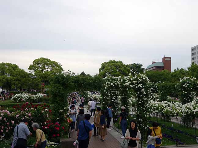 山下公園 (6).JPG
