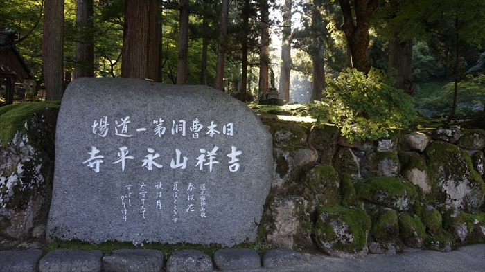 20150915 08103001.jpg