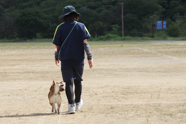IMG_2982 - コピー - コピー.JPG