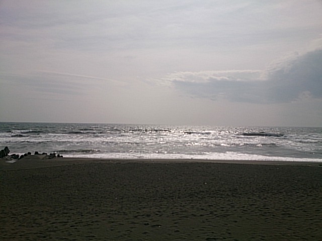 20150223  DSC_0001.jpg