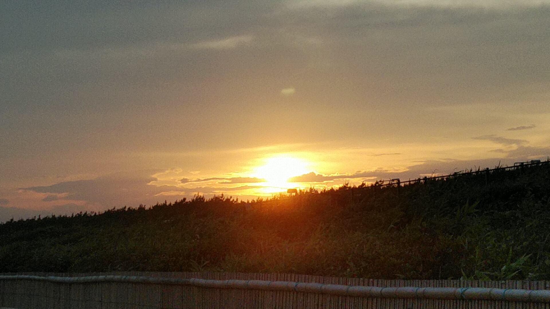 20220619  DSC_0005.jpg