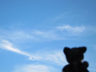 IMG_7572.jpg