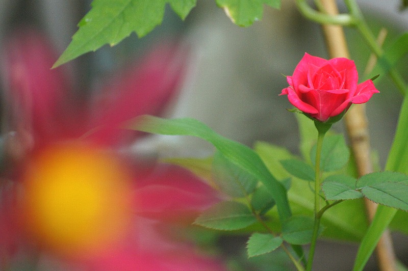 0728-3.jpg