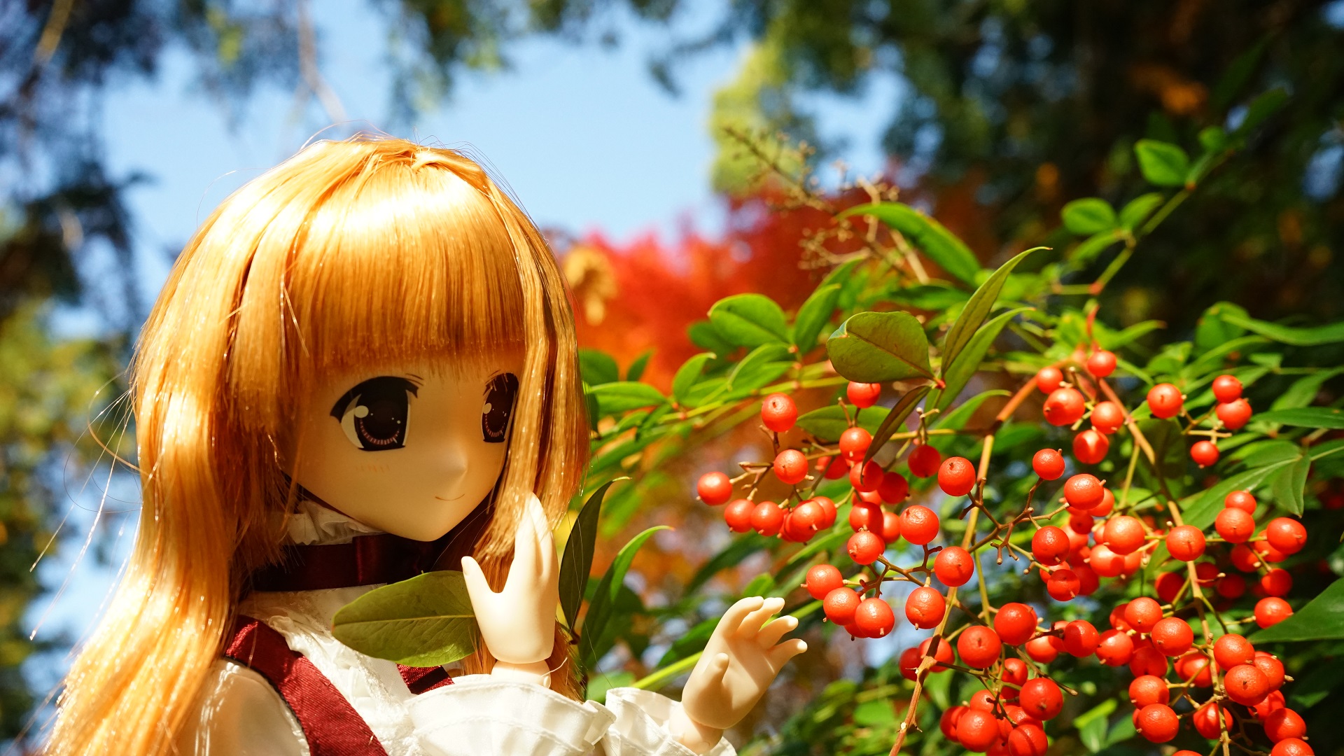 南禅寺 南天　紅葉 陽菜ちゃん.jpg