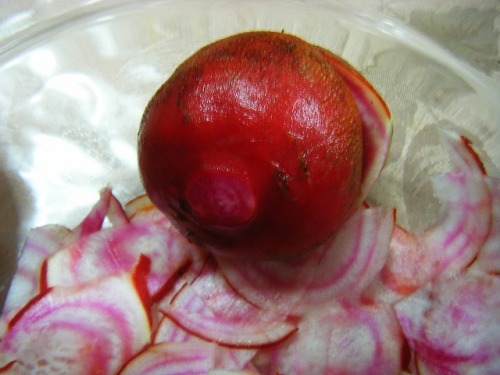 ゴルゴビートで (9).jpg