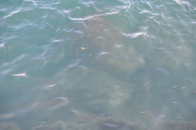 showPhoto (640×426)