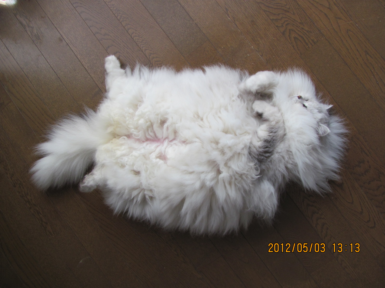 画像 316.jpg
