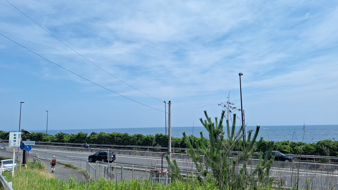 IMG_20250629_131639.jpg