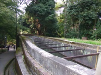 110.jpg