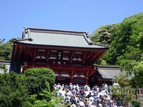 鶴ヶ丘八幡宮 (8).JPG