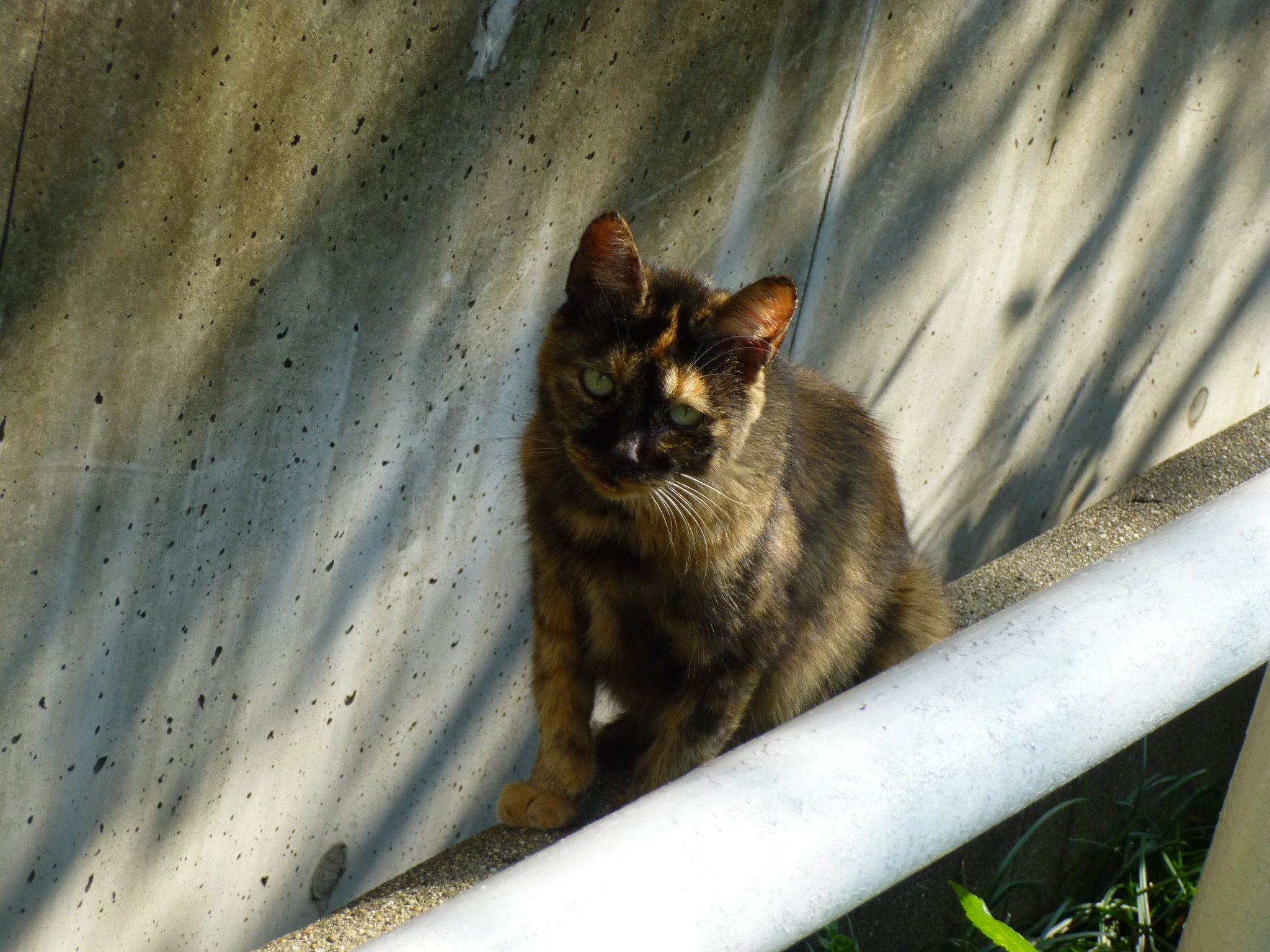 P1100304.JPG