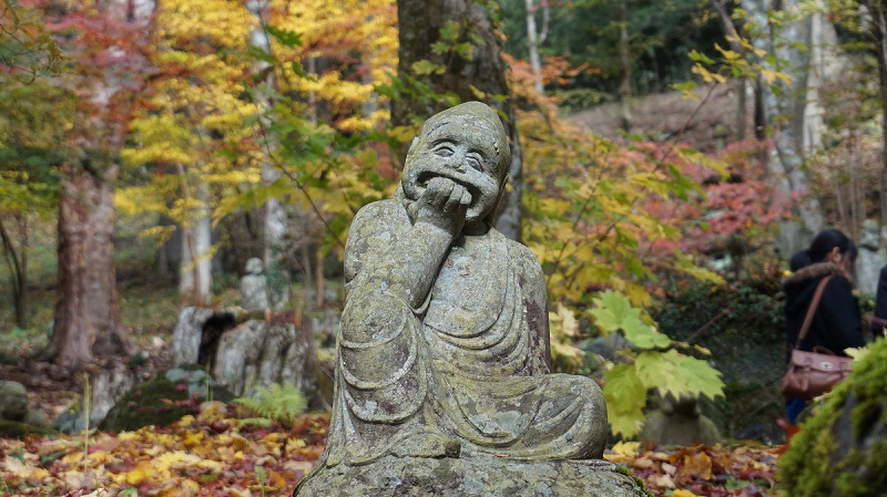 20141112 11093301.jpg