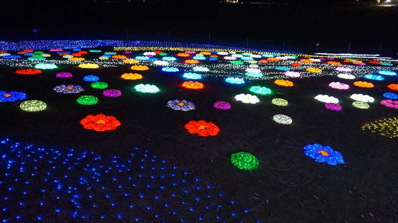 20141119 17123401.JPG