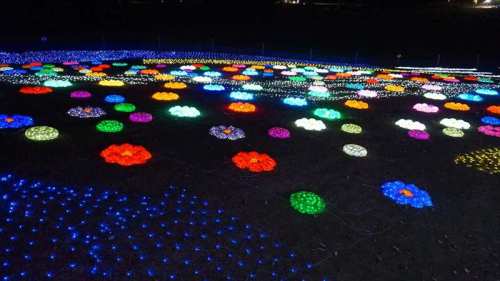 20141119 17123401.JPG