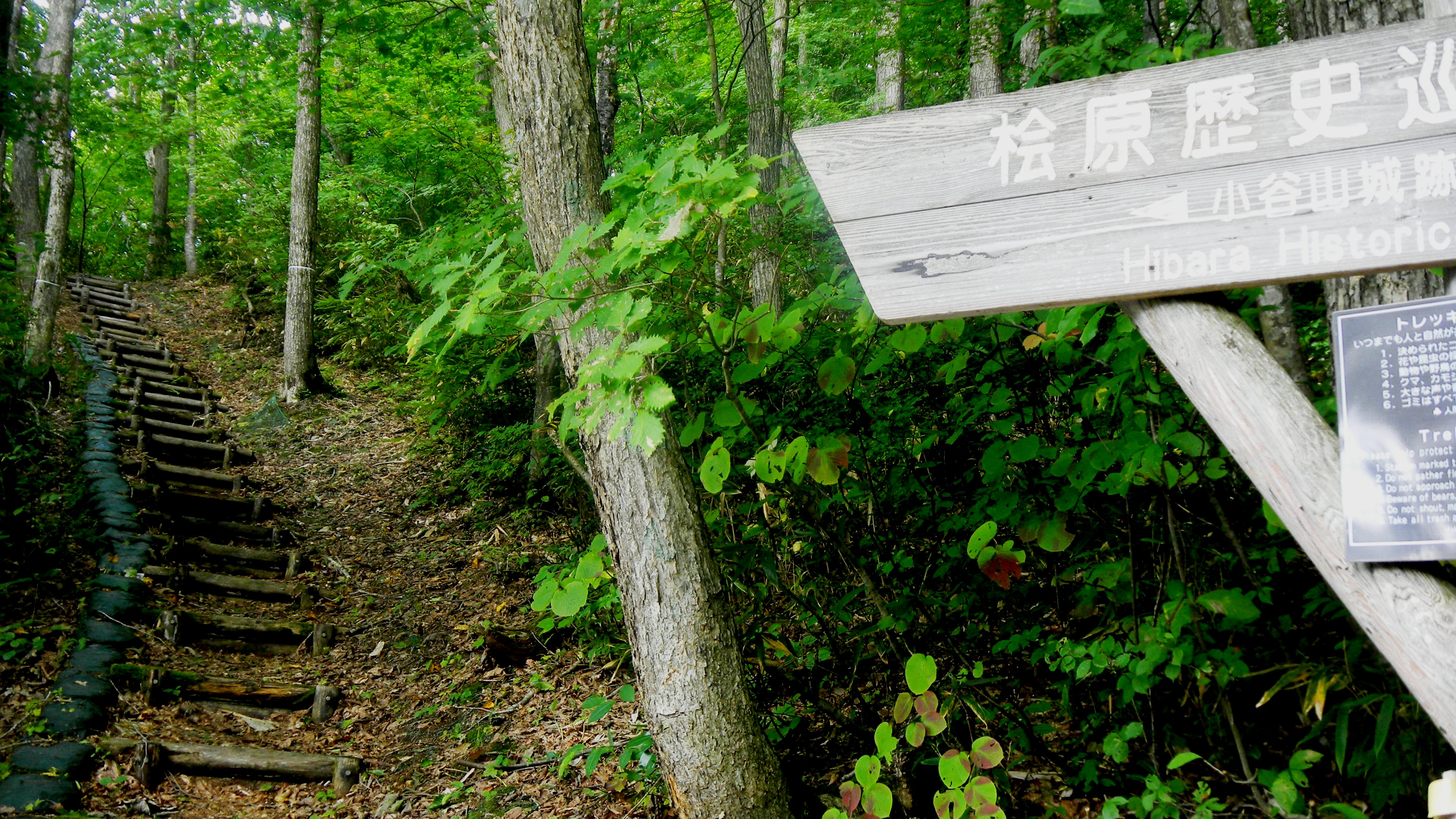 035小谷山城跡 (2).JPG