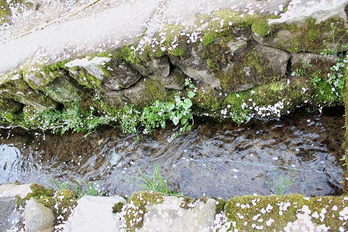 日本の音風景百選 (5).JPG