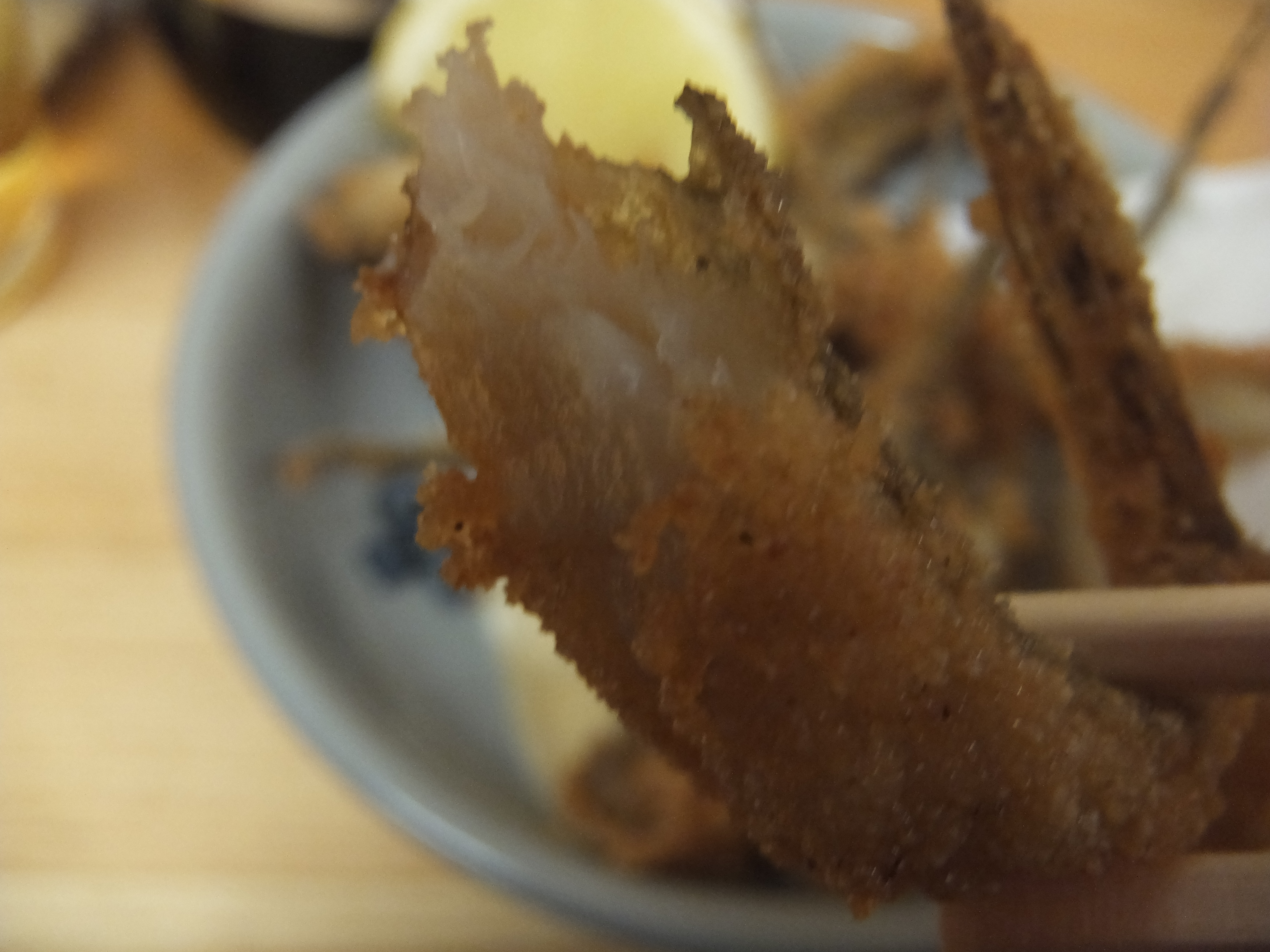 DSCF2229.JPG