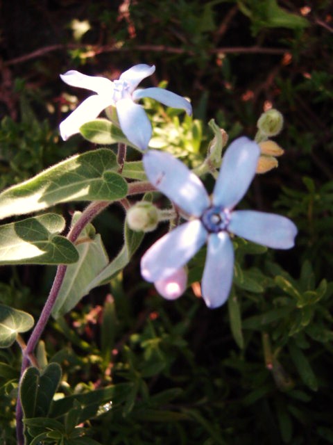 DSC09404.JPG