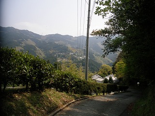 P4180797.jpg