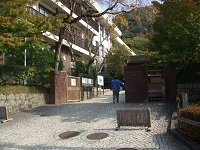 119.jpg