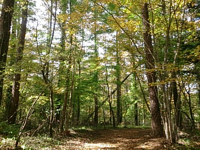 20141026  DSC_0012.jpg