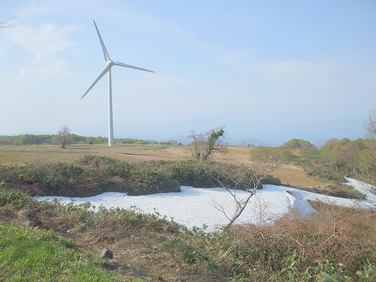 DSCF3198.jpg