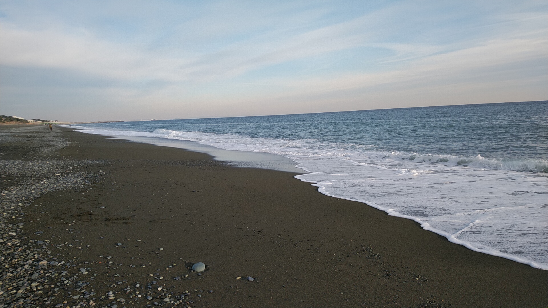 20220109  DSC_0004.jpg