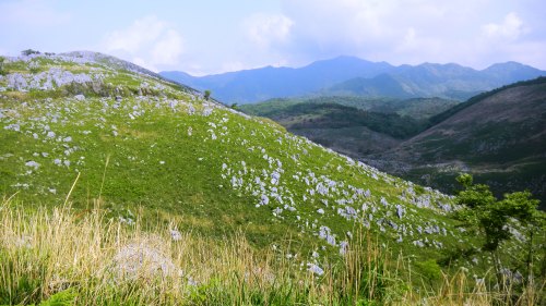 009カルストロード (4).JPG