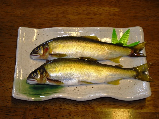 養殖ですが、季節物の鮎です