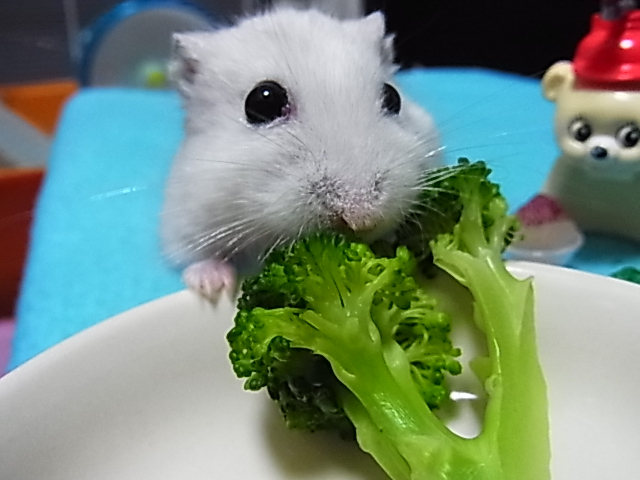 2014_06192065.JPG