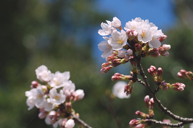 0401-5.jpg