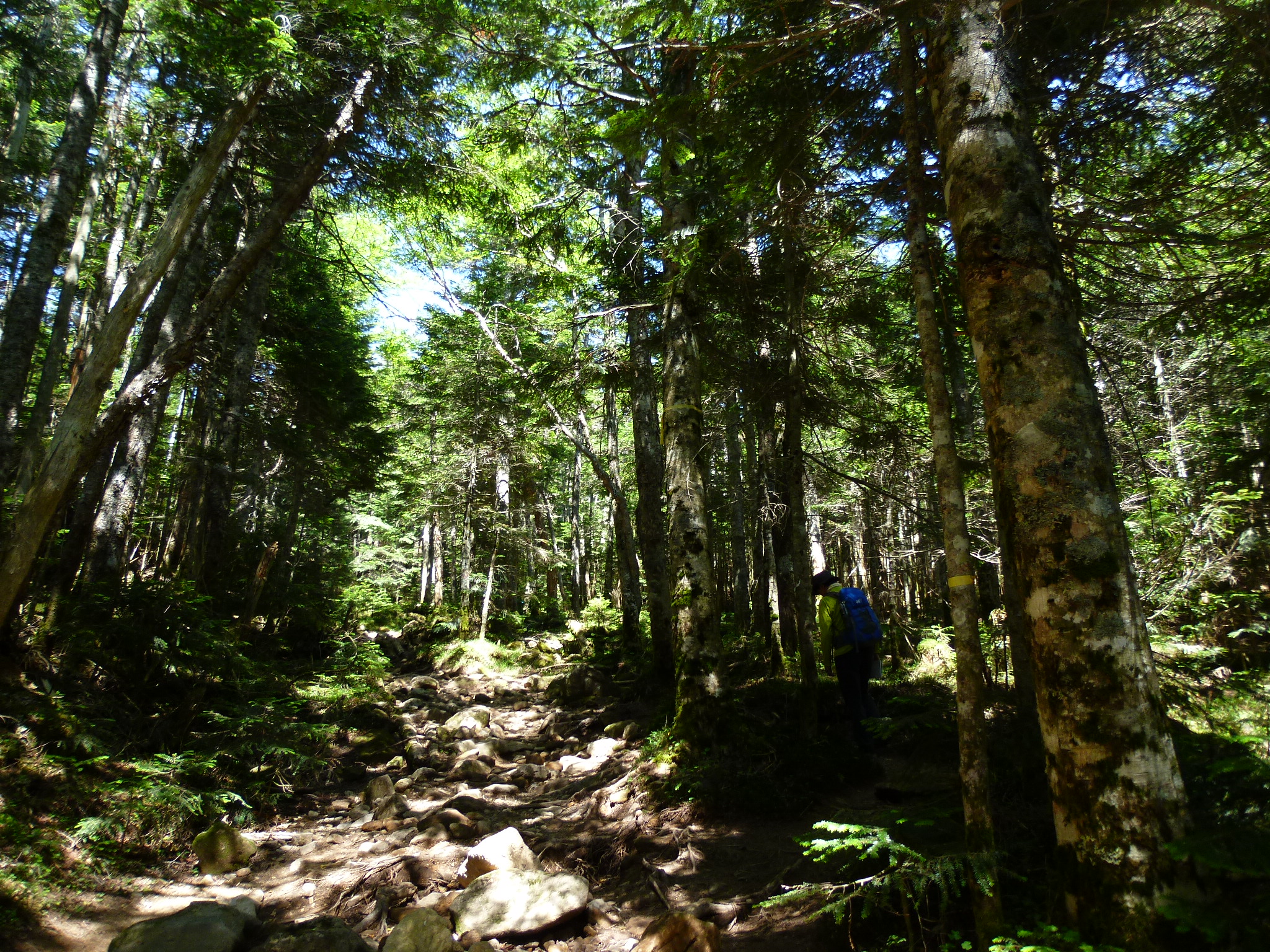 P1030304.JPG