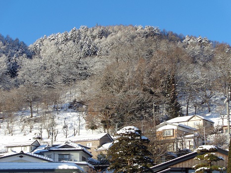 2-雪の裏山.JPG